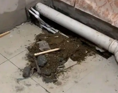 泽普卫生间漏水检测哪家好